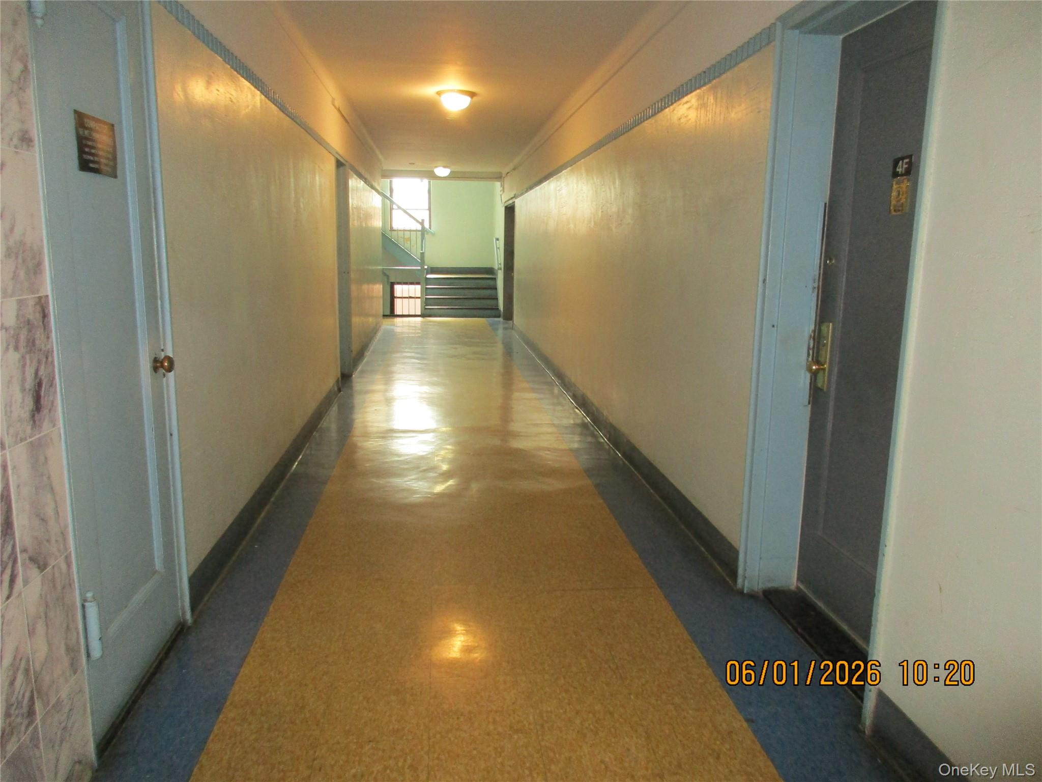 40-05 Ithaca Street, Unit 4M photo 13
