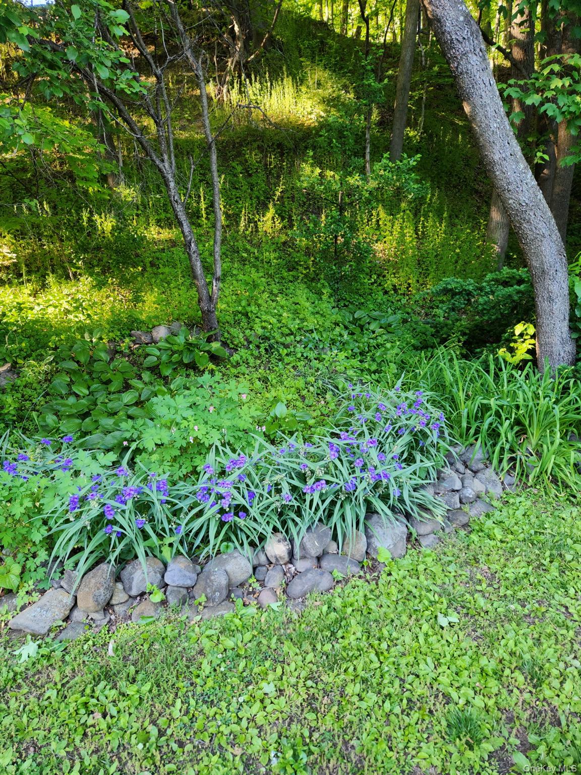3318 State Route 94 – For Sale photo 28
