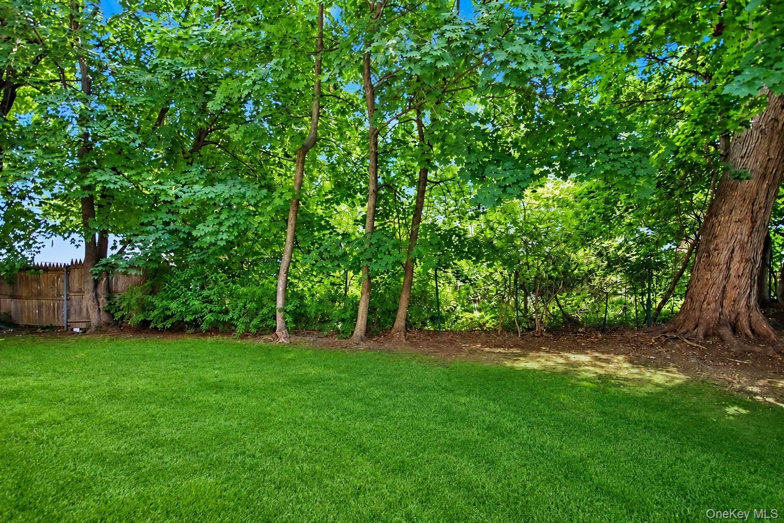 7 Tudor Place – For Rent photo 17