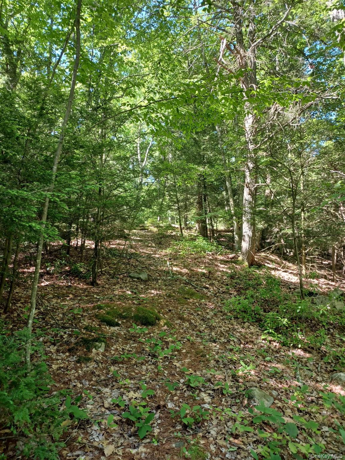 Bramertown Road – For Sale photo 8