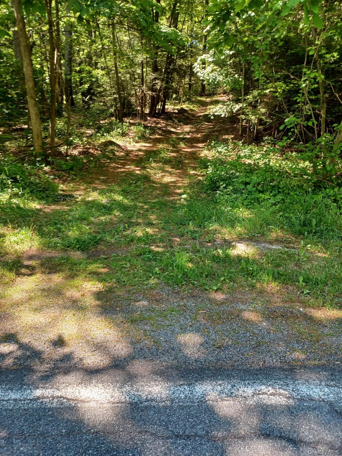 Bramertown Road – For Sale photo 4