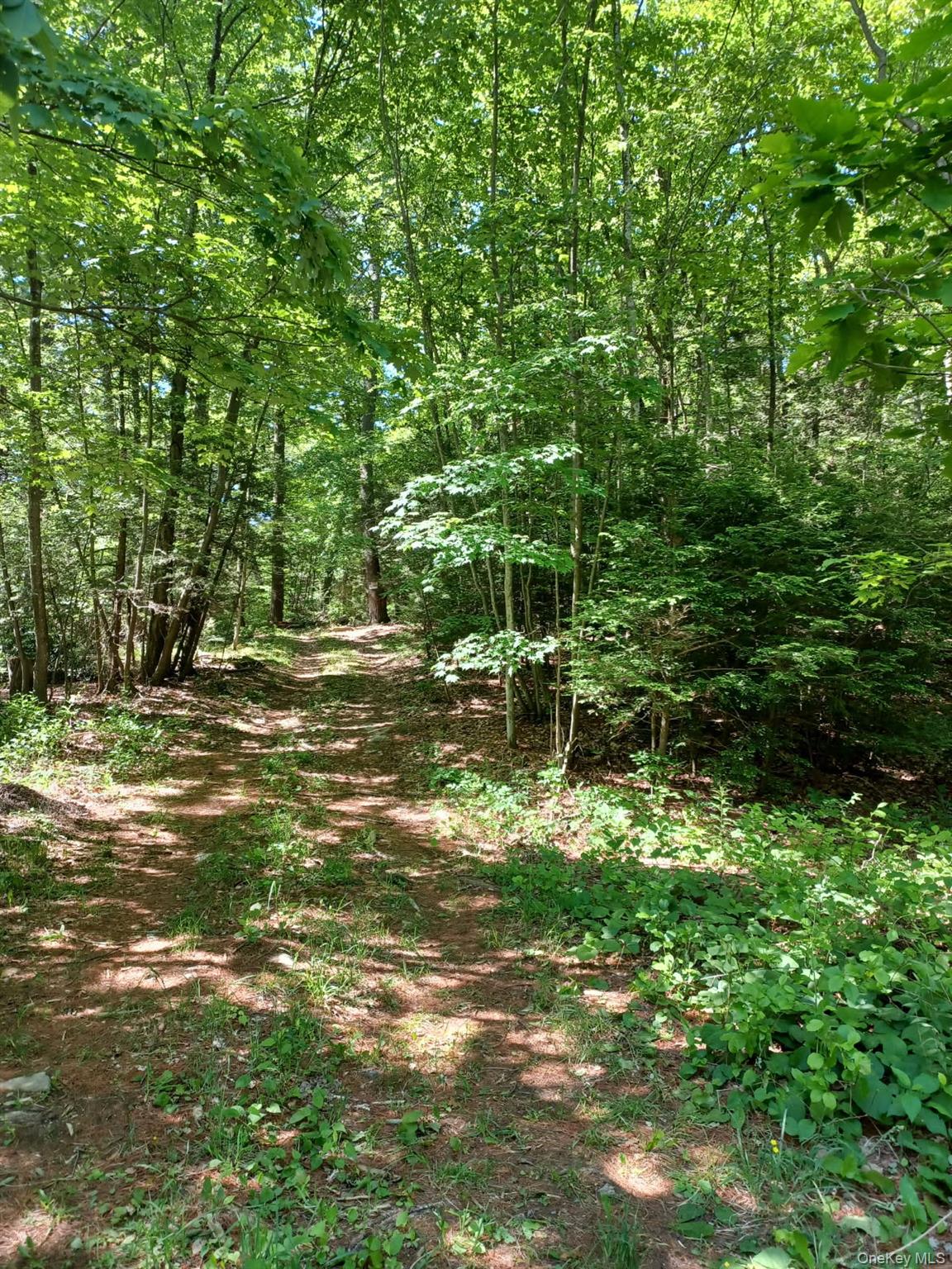 Bramertown Road – For Sale photo 7