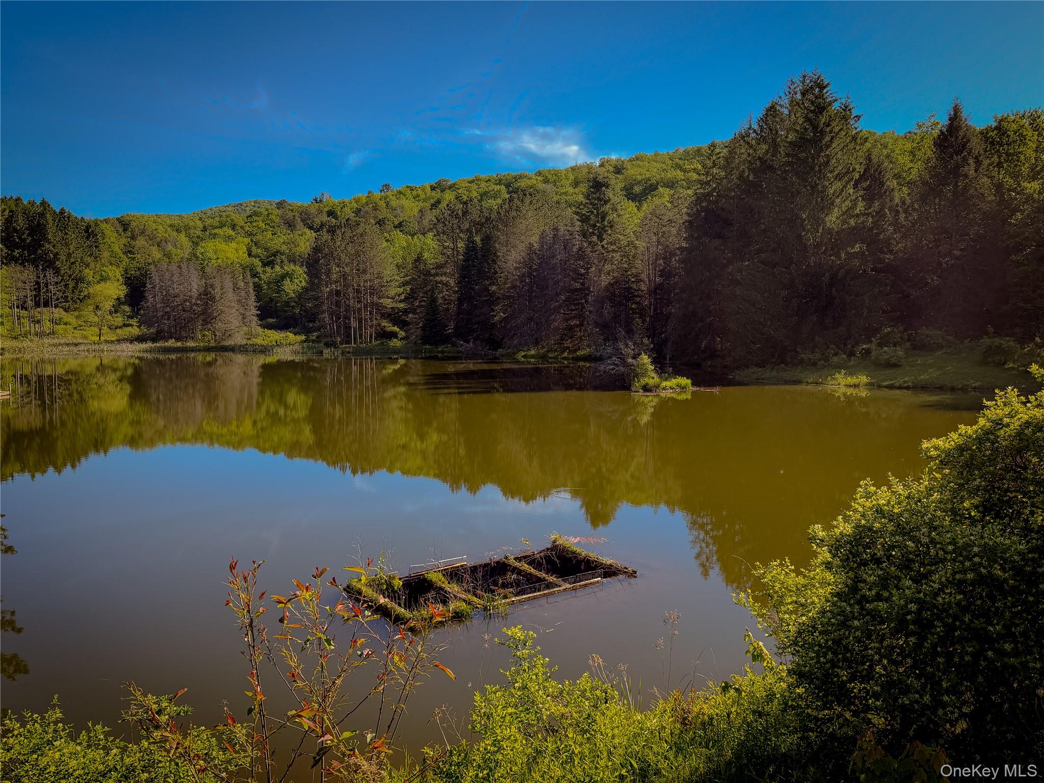 836 Emerald Lake Road – For Sale photo 16