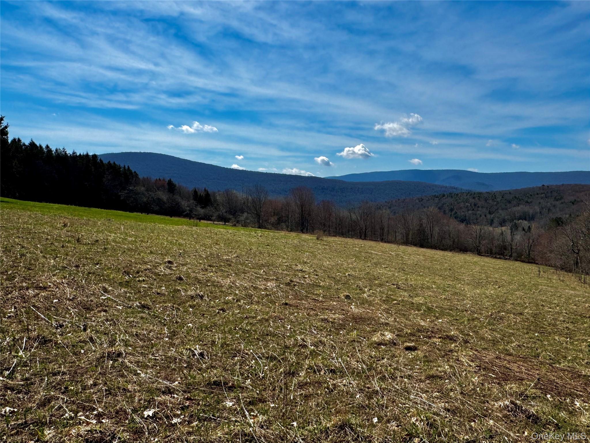 Hogg Mountain – For Sale photo 13