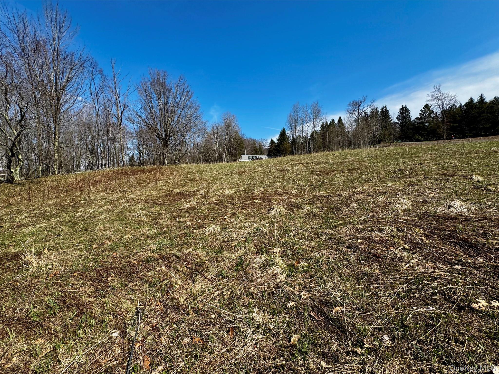 Hogg Mountain – For Sale photo 19