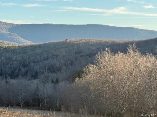 Hogg Mountain – For Sale photo 6