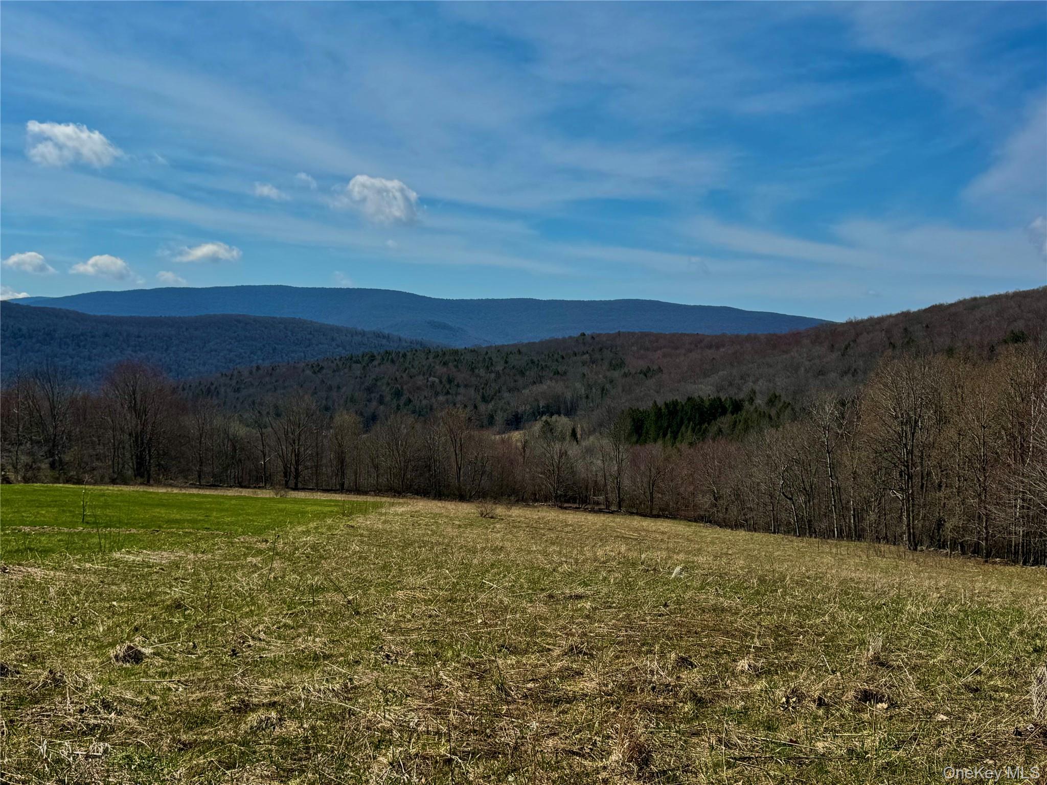 Hogg Mountain – For Sale photo 21