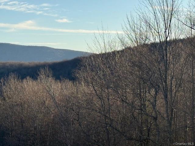 Hogg Mountain – For Sale photo 16