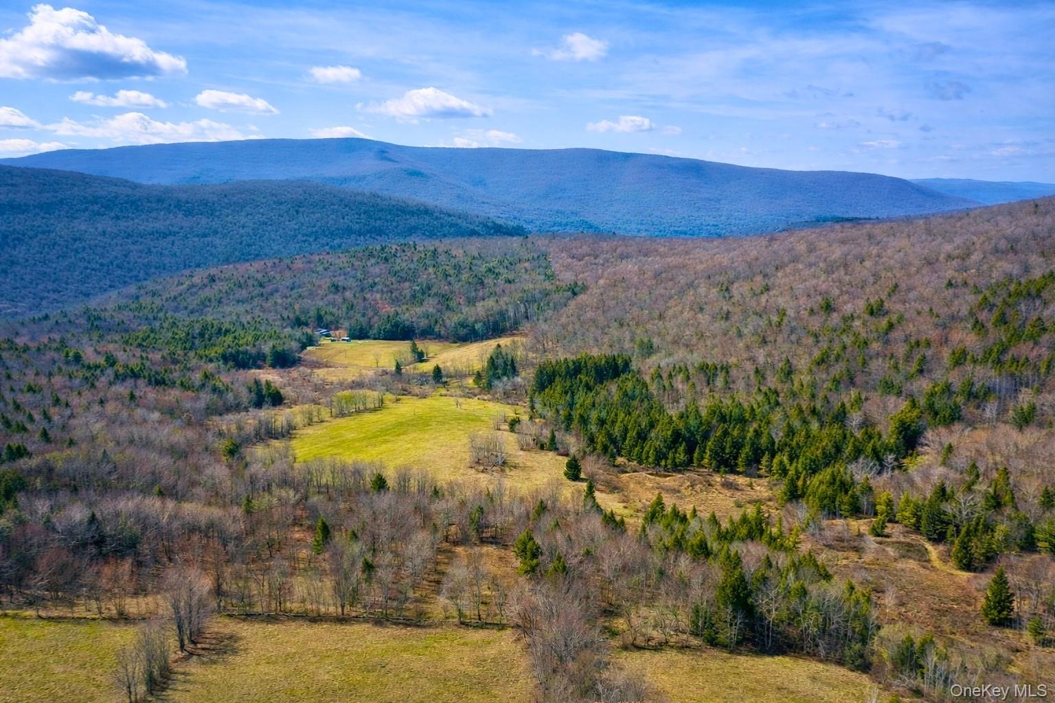 Hogg Mountain – For Sale