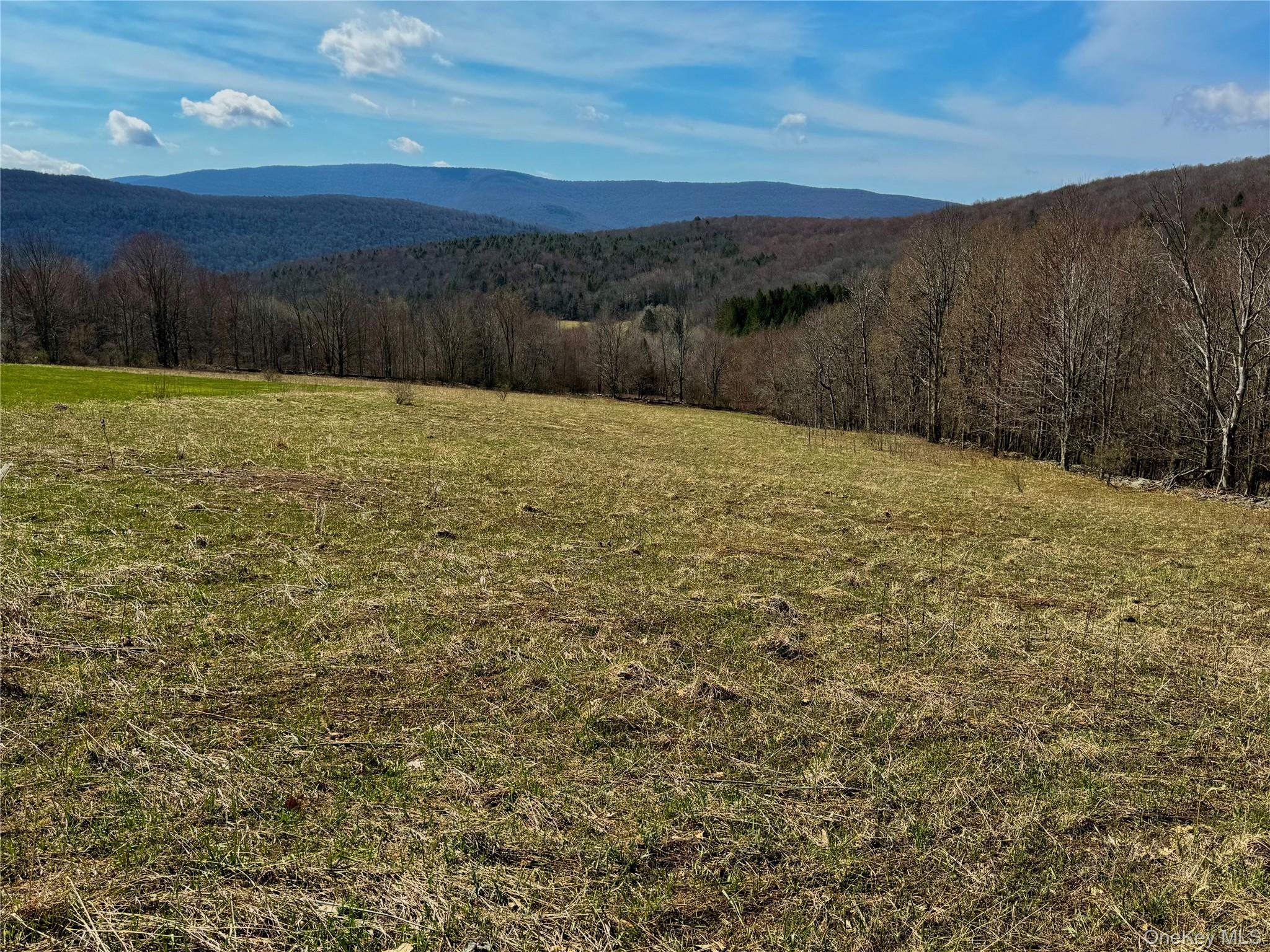 Hogg Mountain – For Sale photo 20