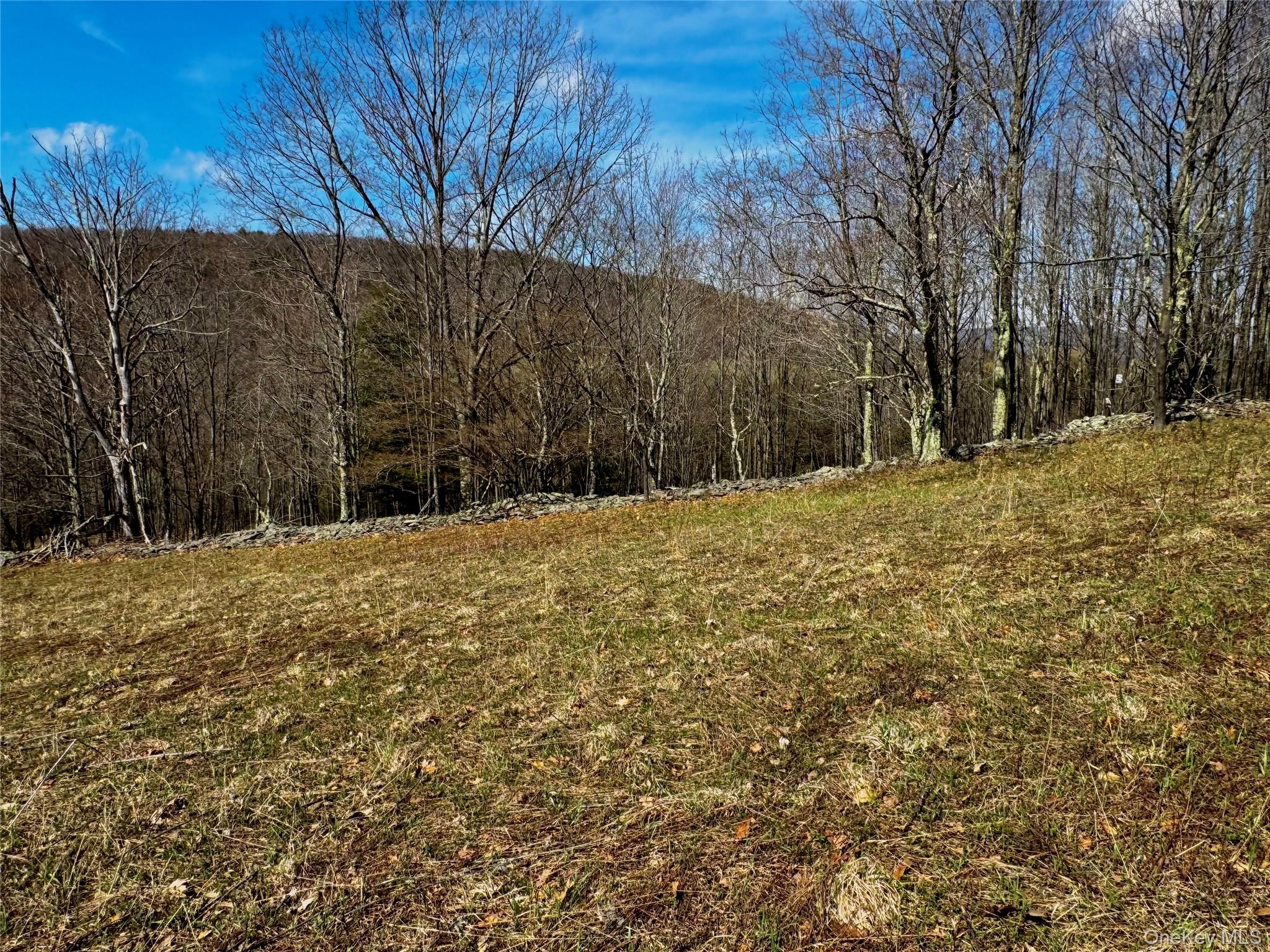 Hogg Mountain – For Sale photo 14