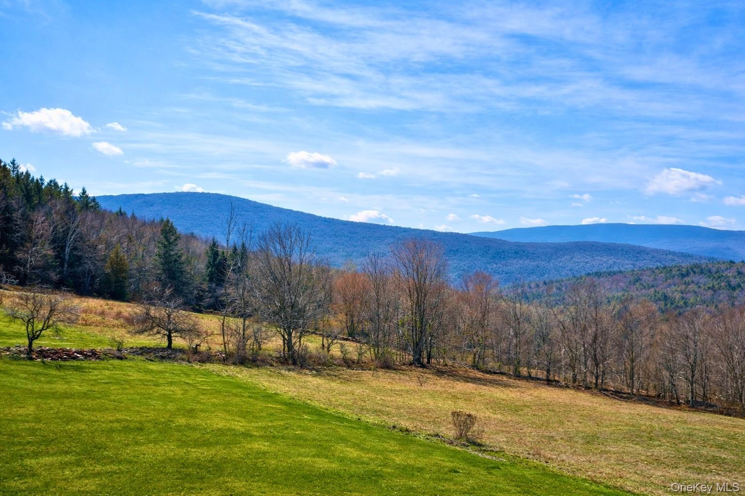 Hogg Mountain – For Sale photo 2