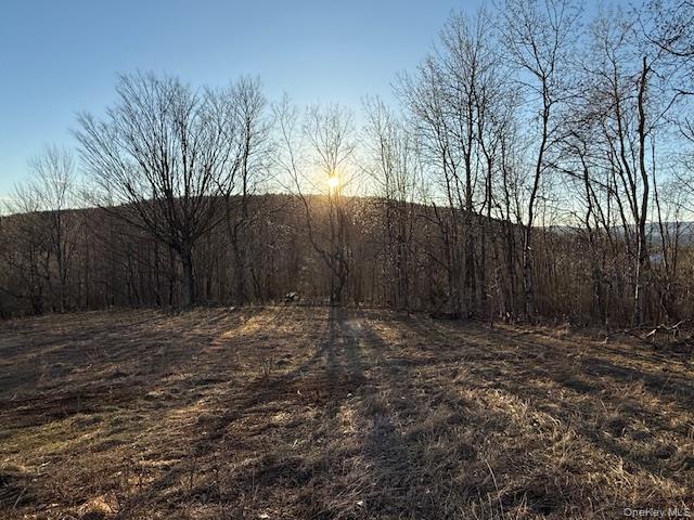 Hogg Mountain – For Sale photo 18