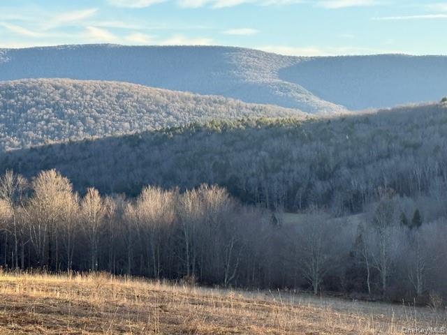 Hogg Mountain – For Sale photo 4