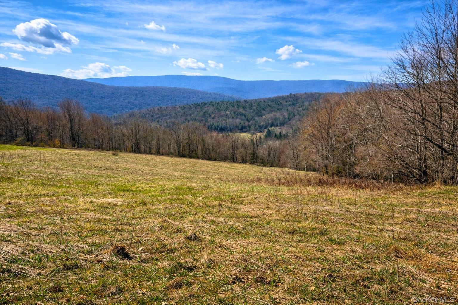 Hogg Mountain – For Sale photo 3