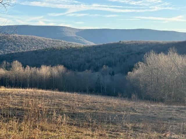 Hogg Mountain – For Sale photo 5