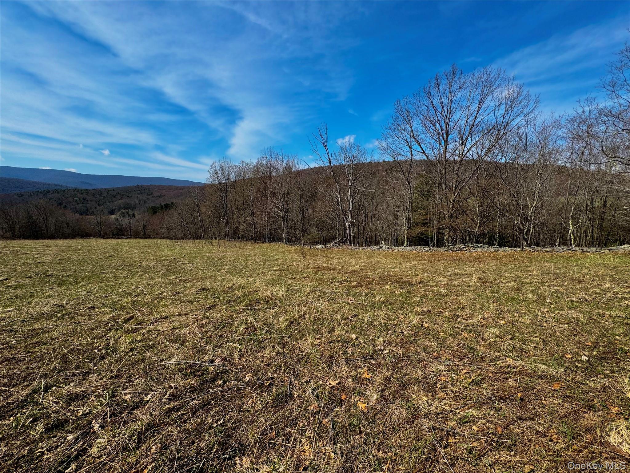 Hogg Mountain – For Sale photo 15