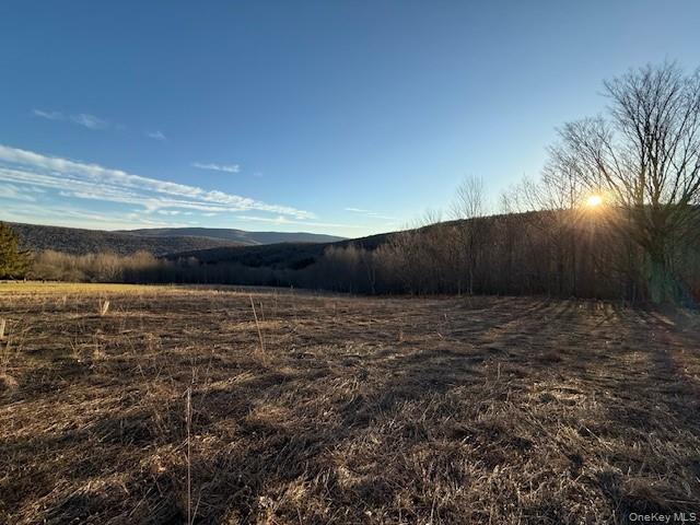 Hogg Mountain – For Sale photo 17
