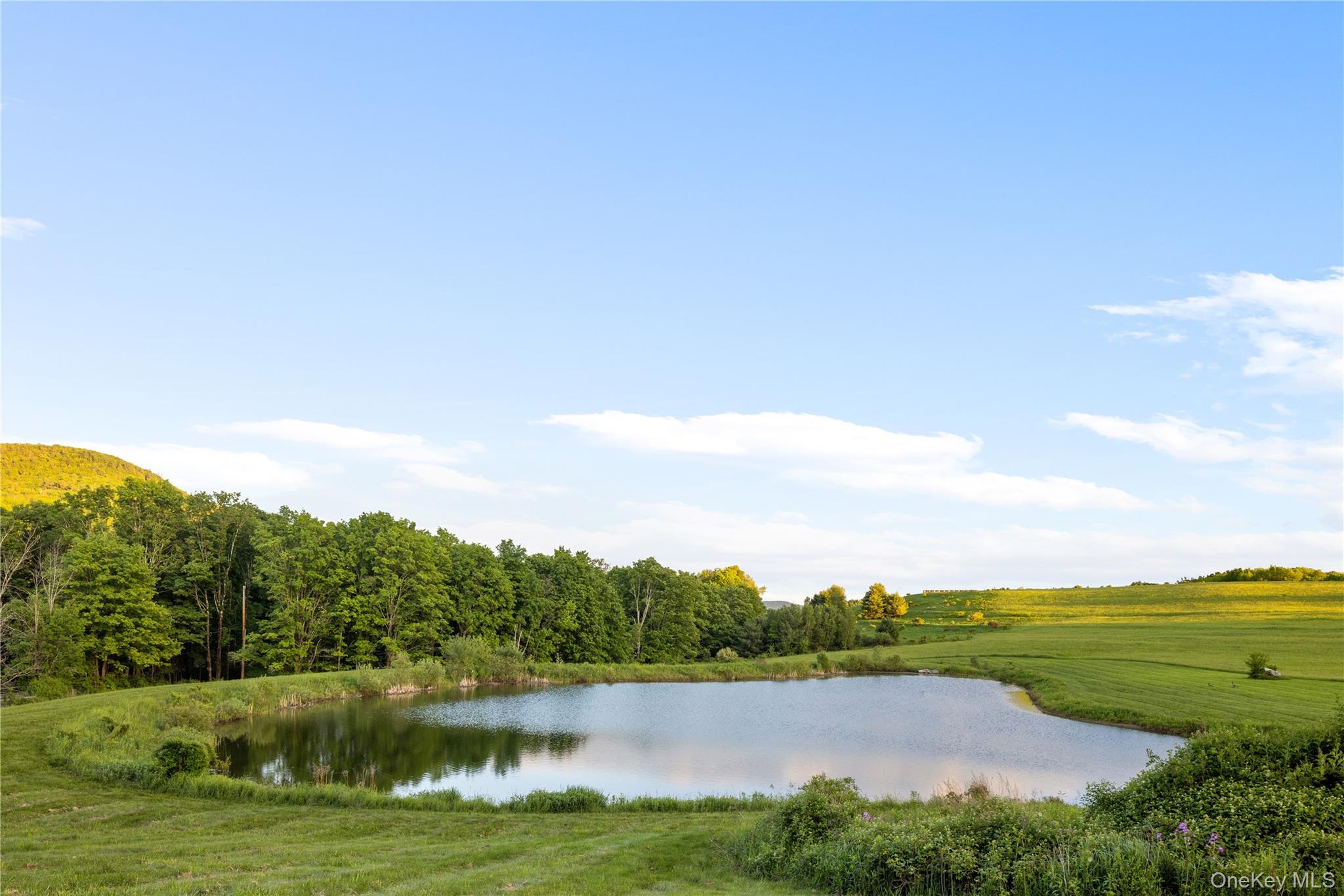 335 Dawson Road – For Sale photo 4
