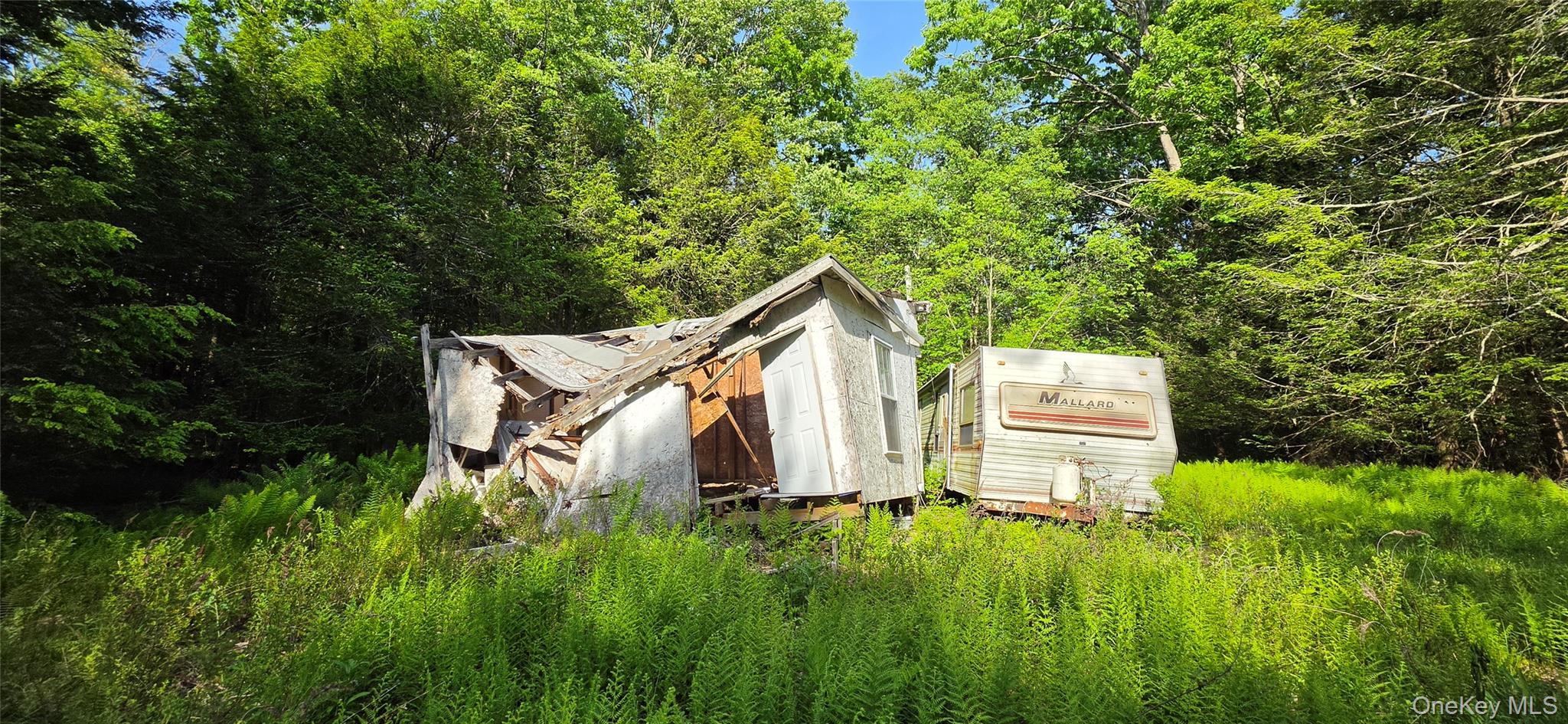 00 Church aka Pan Am Road – For Sale photo 9