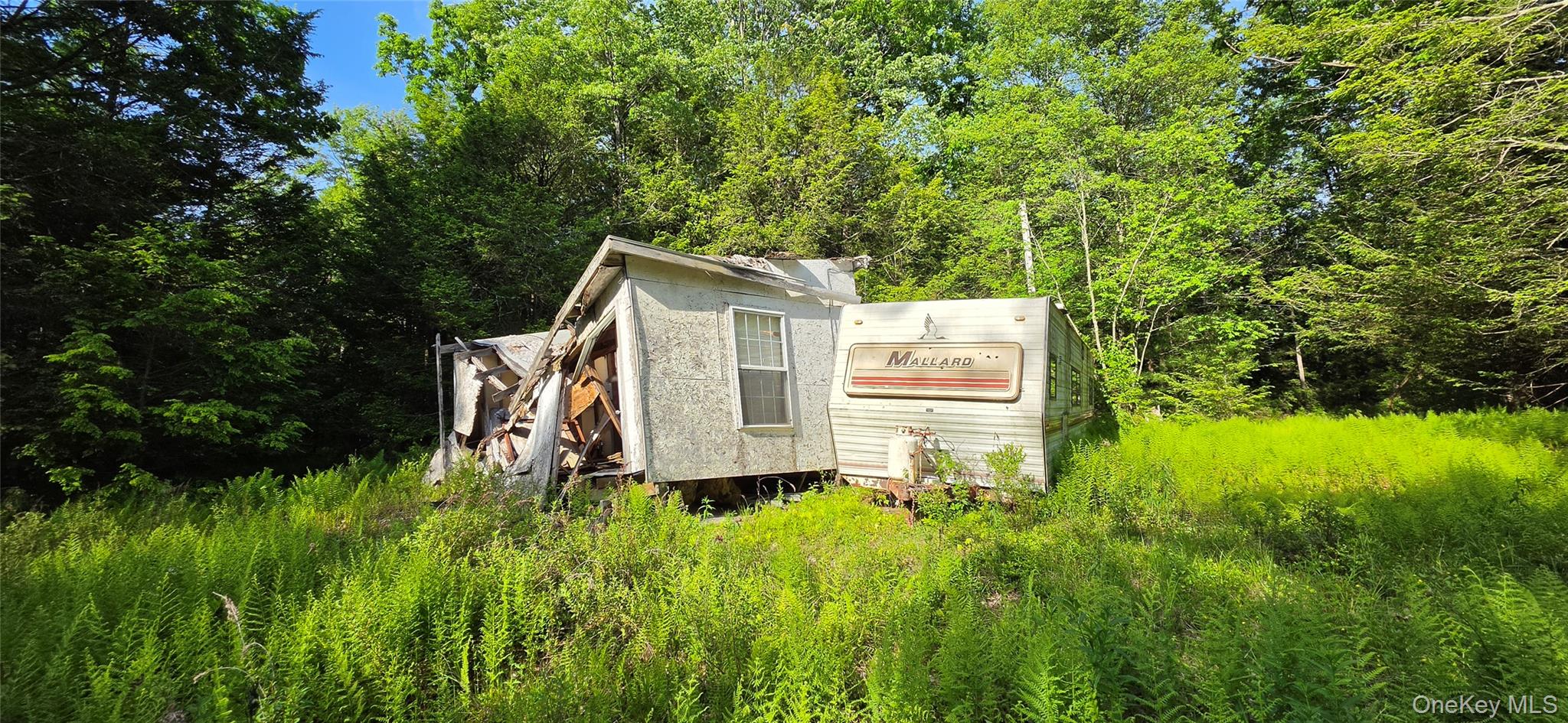 00 Church aka Pan Am Road – For Sale photo 8