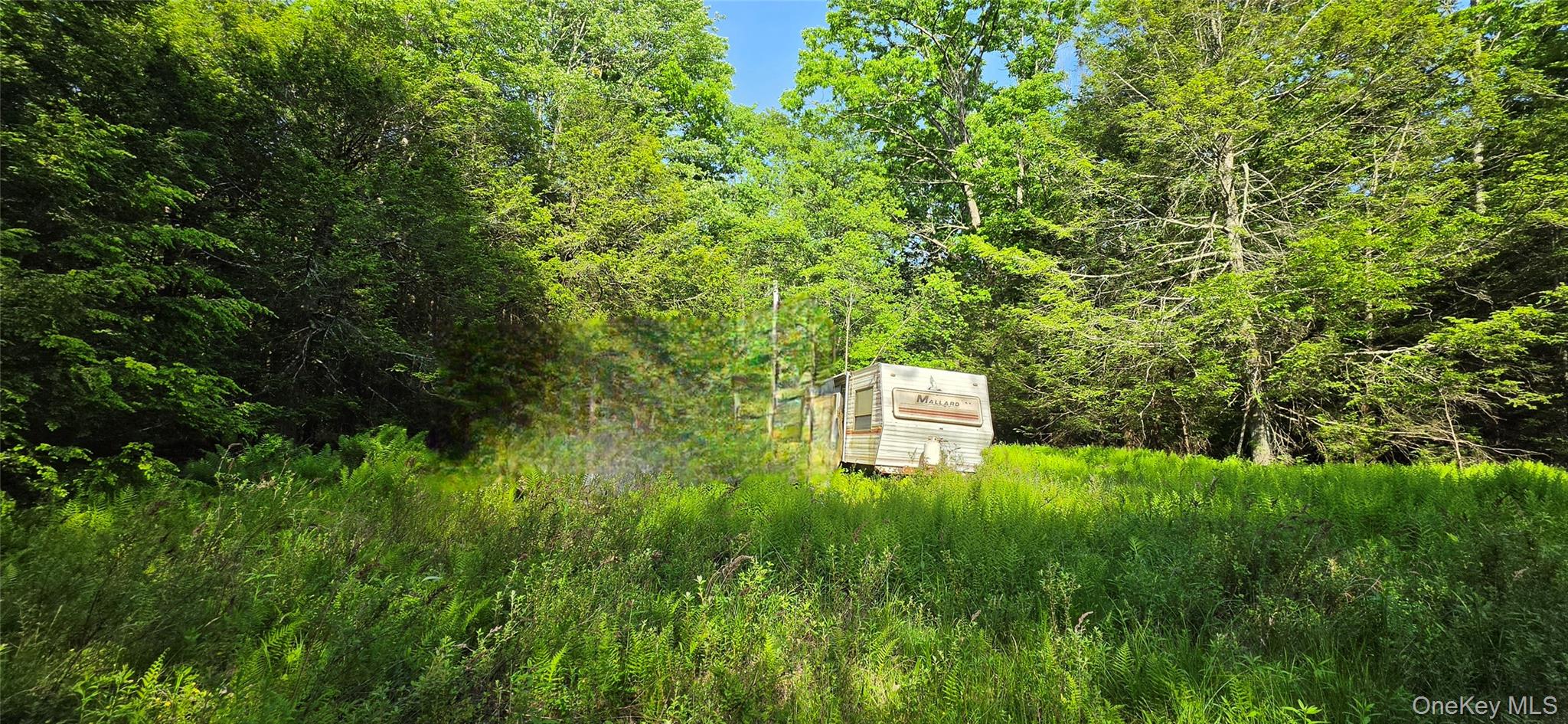 00 Church aka Pan Am Road – For Sale photo 10