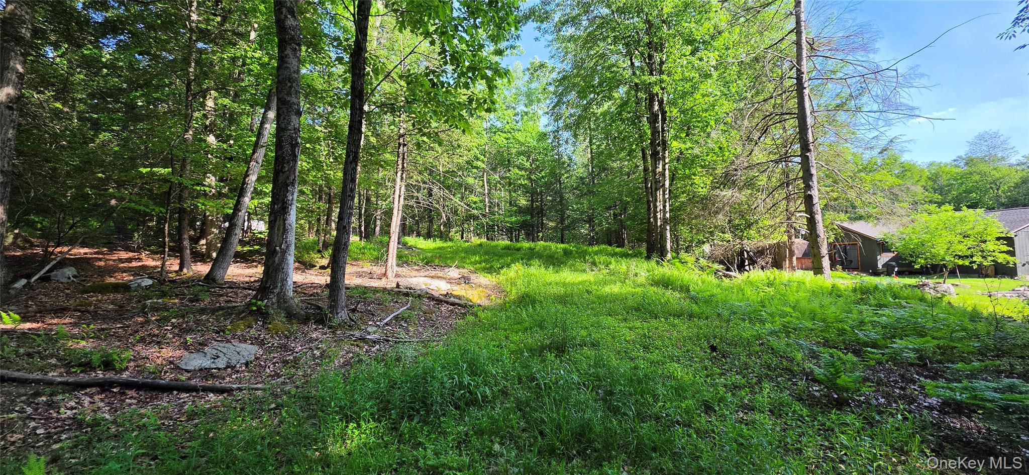 00 Church aka Pan Am Road – For Sale photo 3