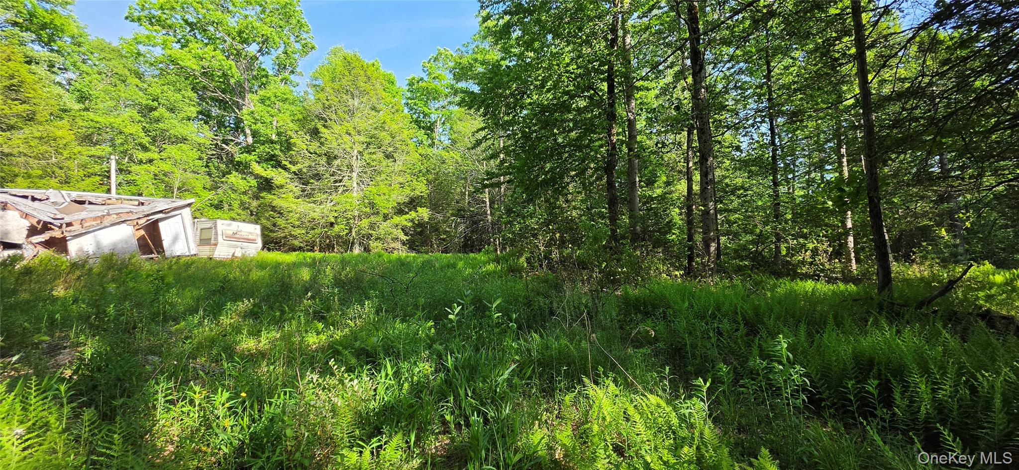 00 Church aka Pan Am Road – For Sale photo 6