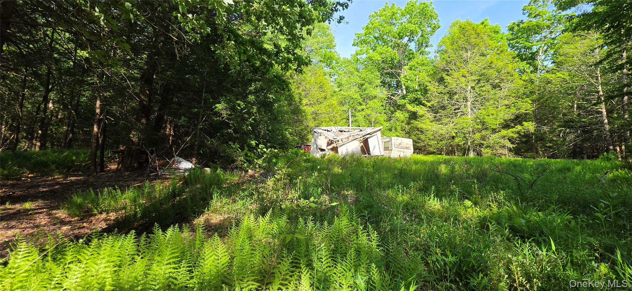 00 Church aka Pan Am Road – For Sale photo 5