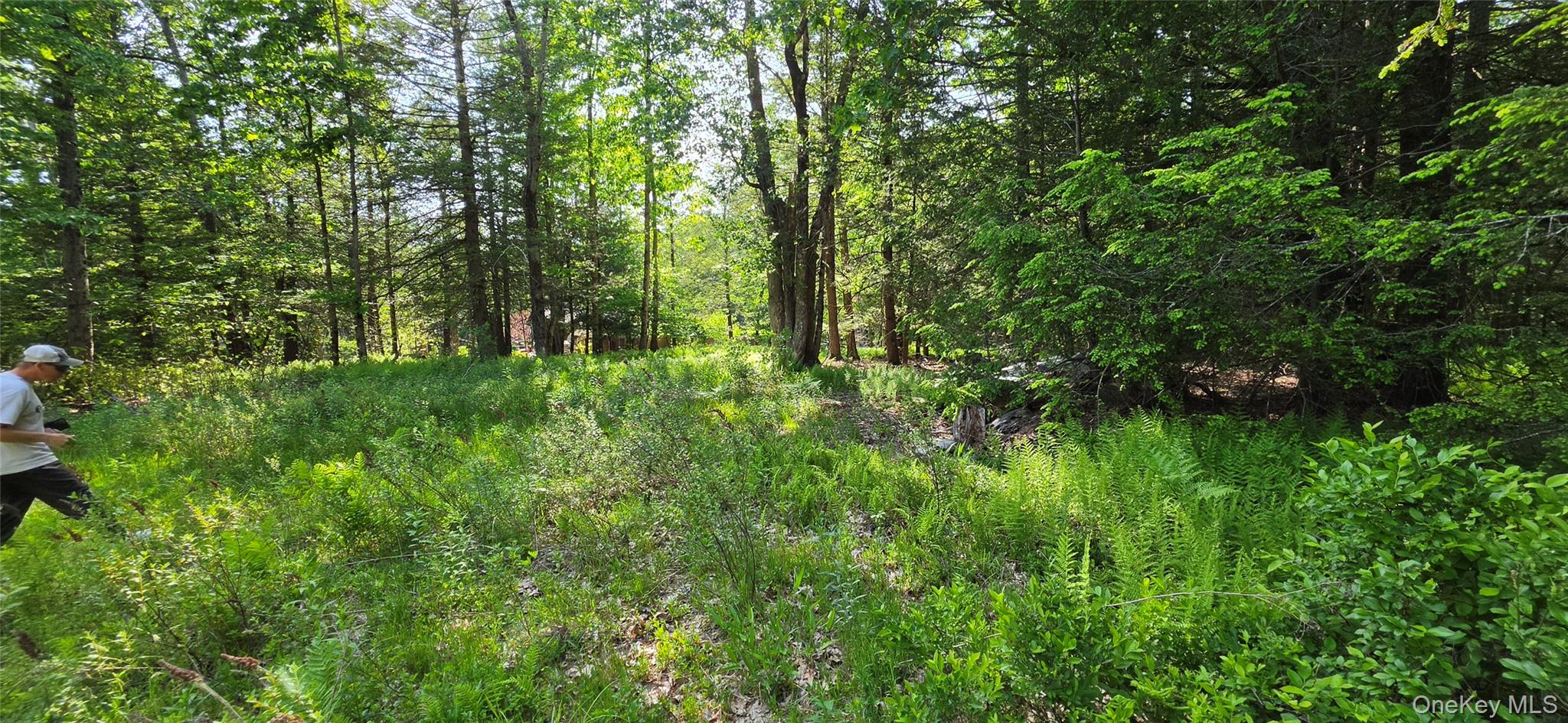 00 Church aka Pan Am Road – For Sale photo 15