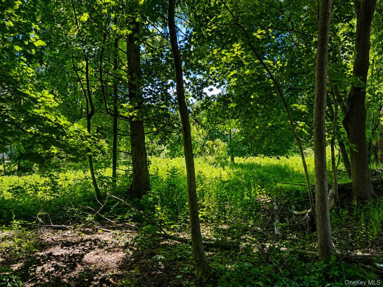 Route 55 – For Sale photo 7