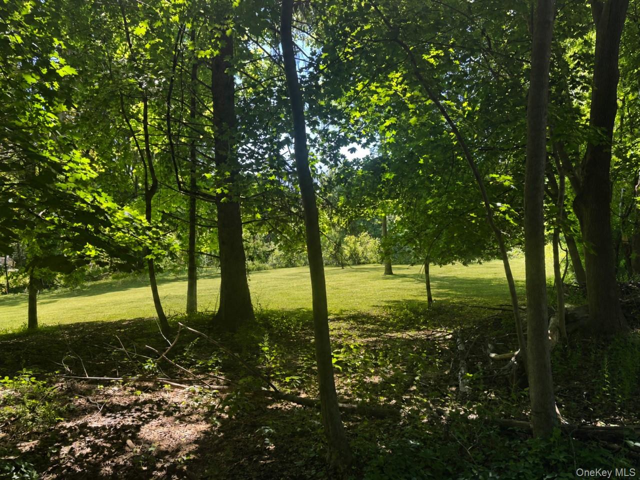Route 55 – For Sale photo 3