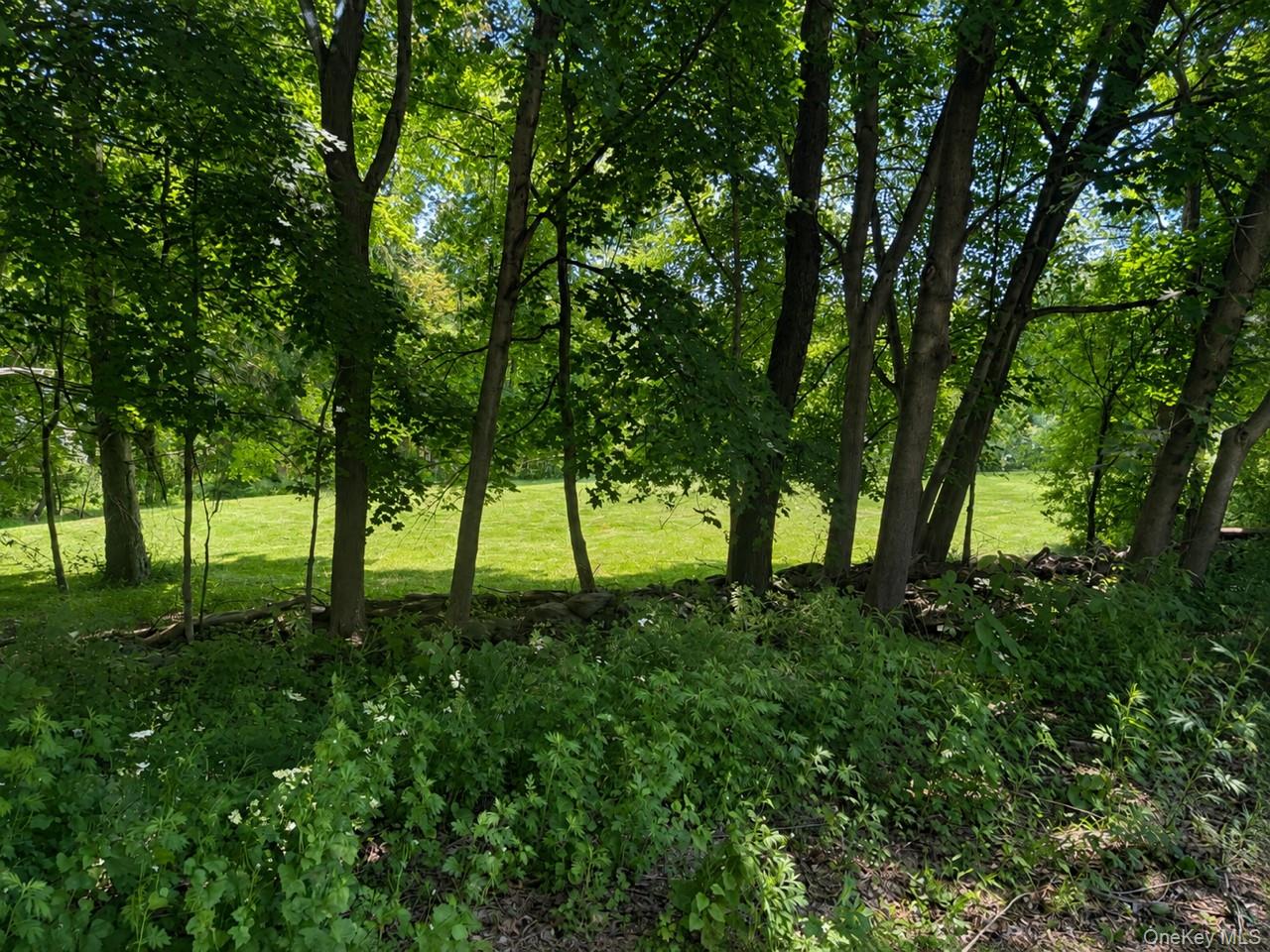 Route 55 – For Sale photo 2