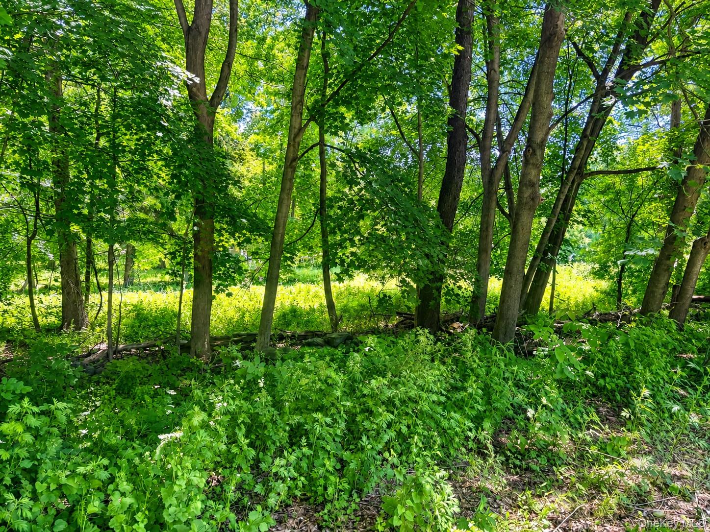 Route 55 – For Sale photo 6