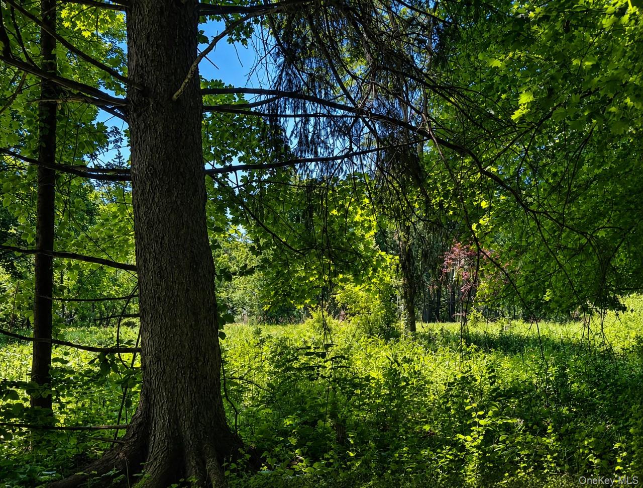 Route 55 – For Sale photo 8