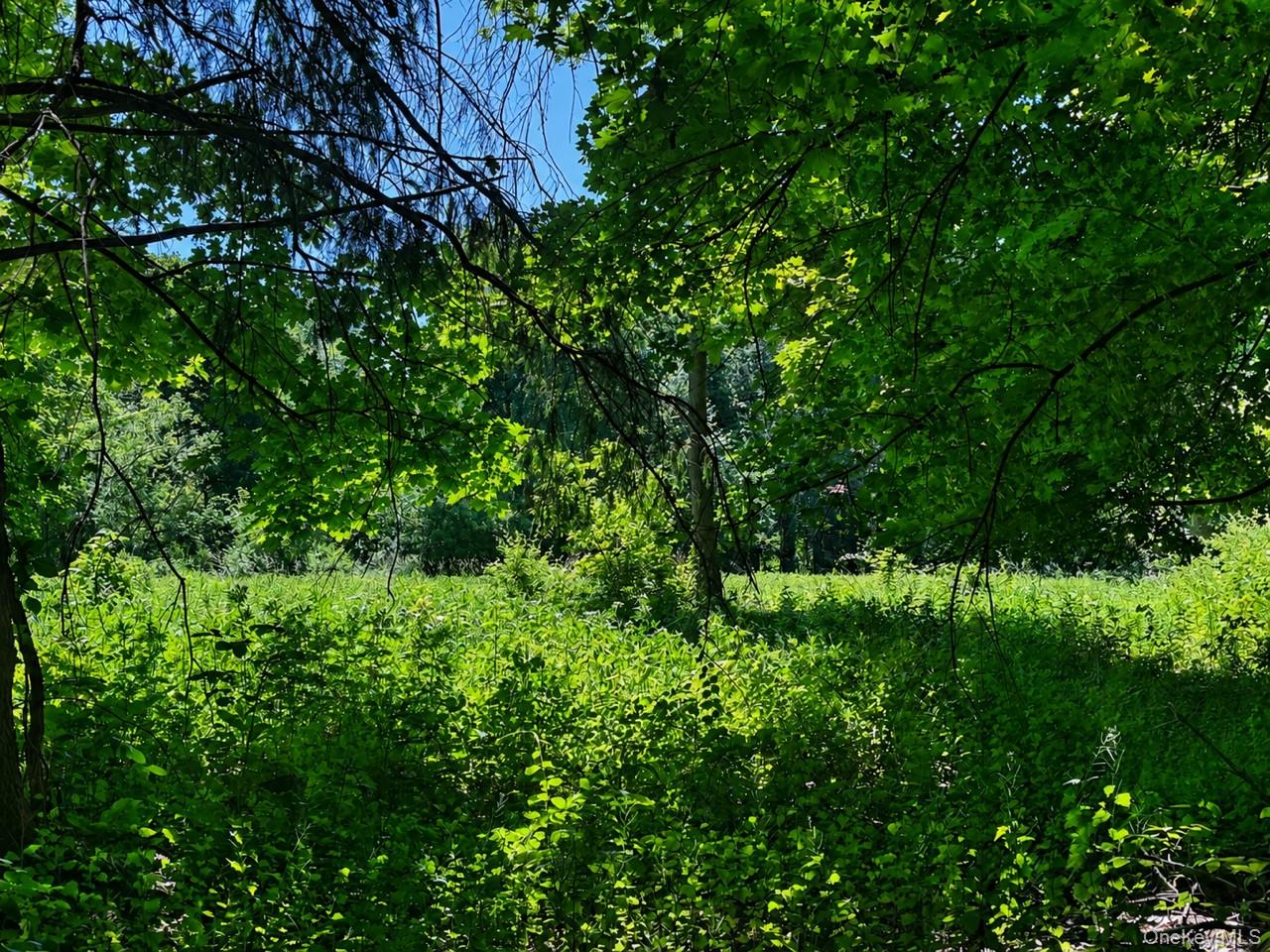 Route 55 – For Sale photo 9