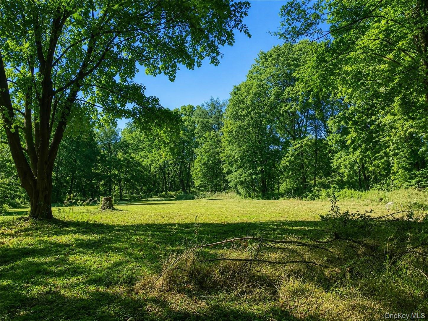 Route 55 – For Sale