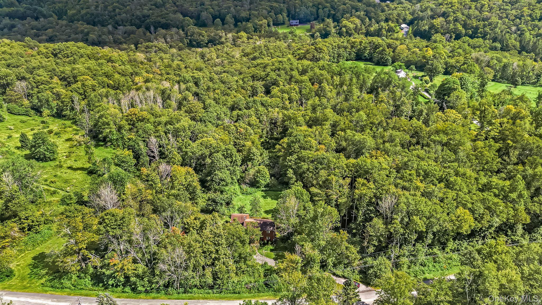 587 Dutch Hill Road – For Sale photo 31