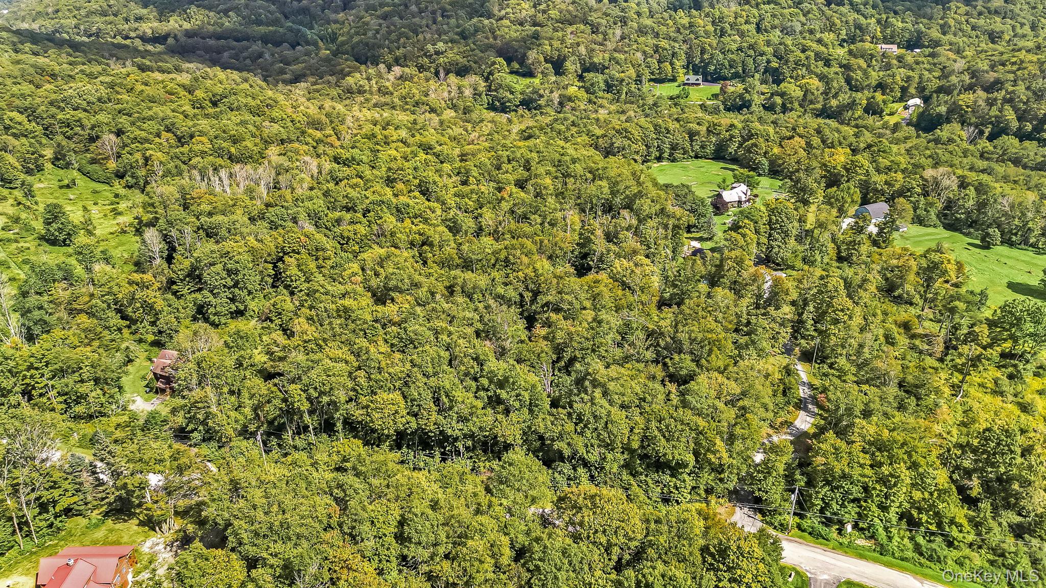 587 Dutch Hill Road – For Sale photo 32