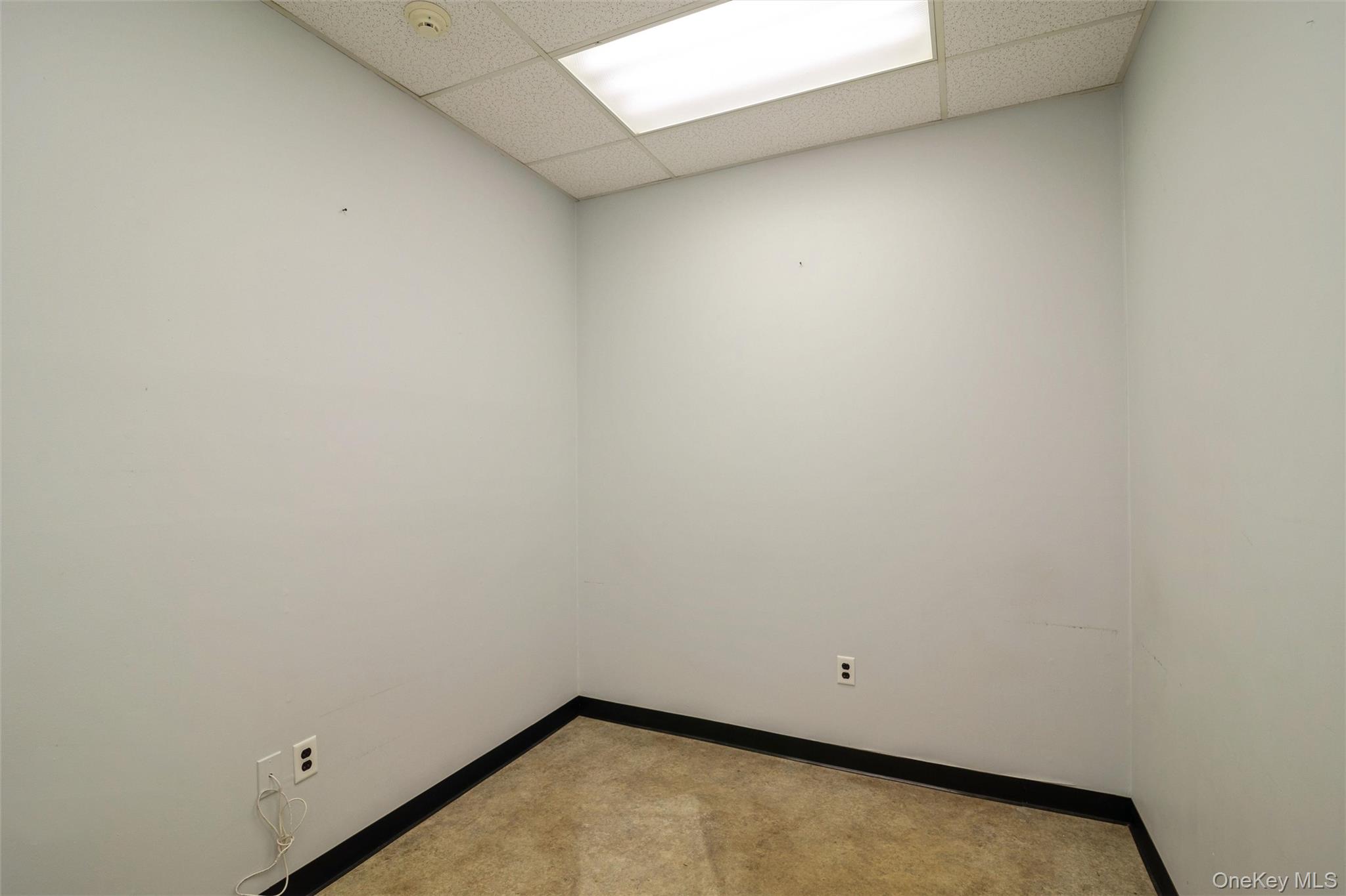1641A Medford Avenue – For Sale photo 15