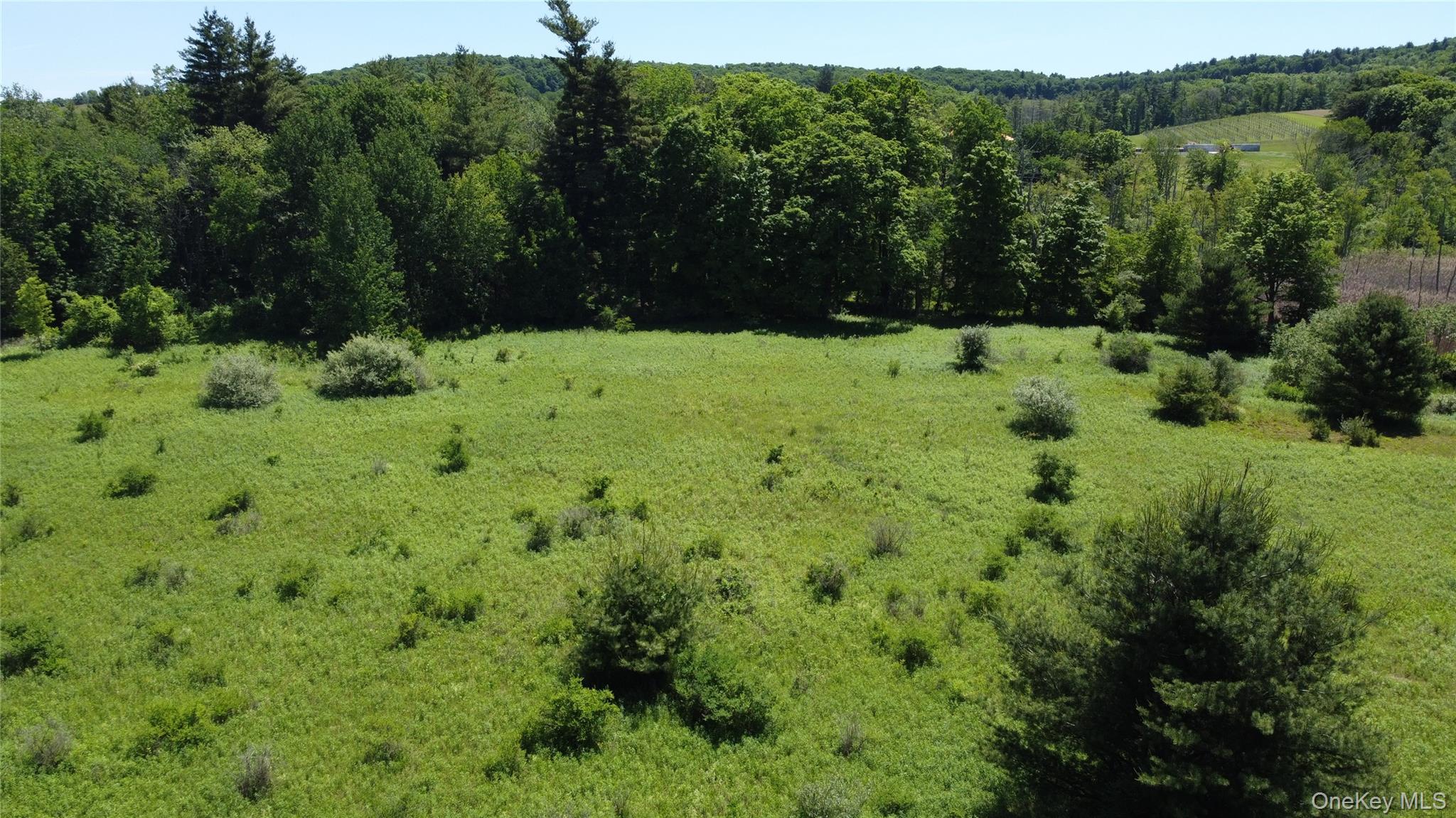 0 Route 44 – For Sale photo 4