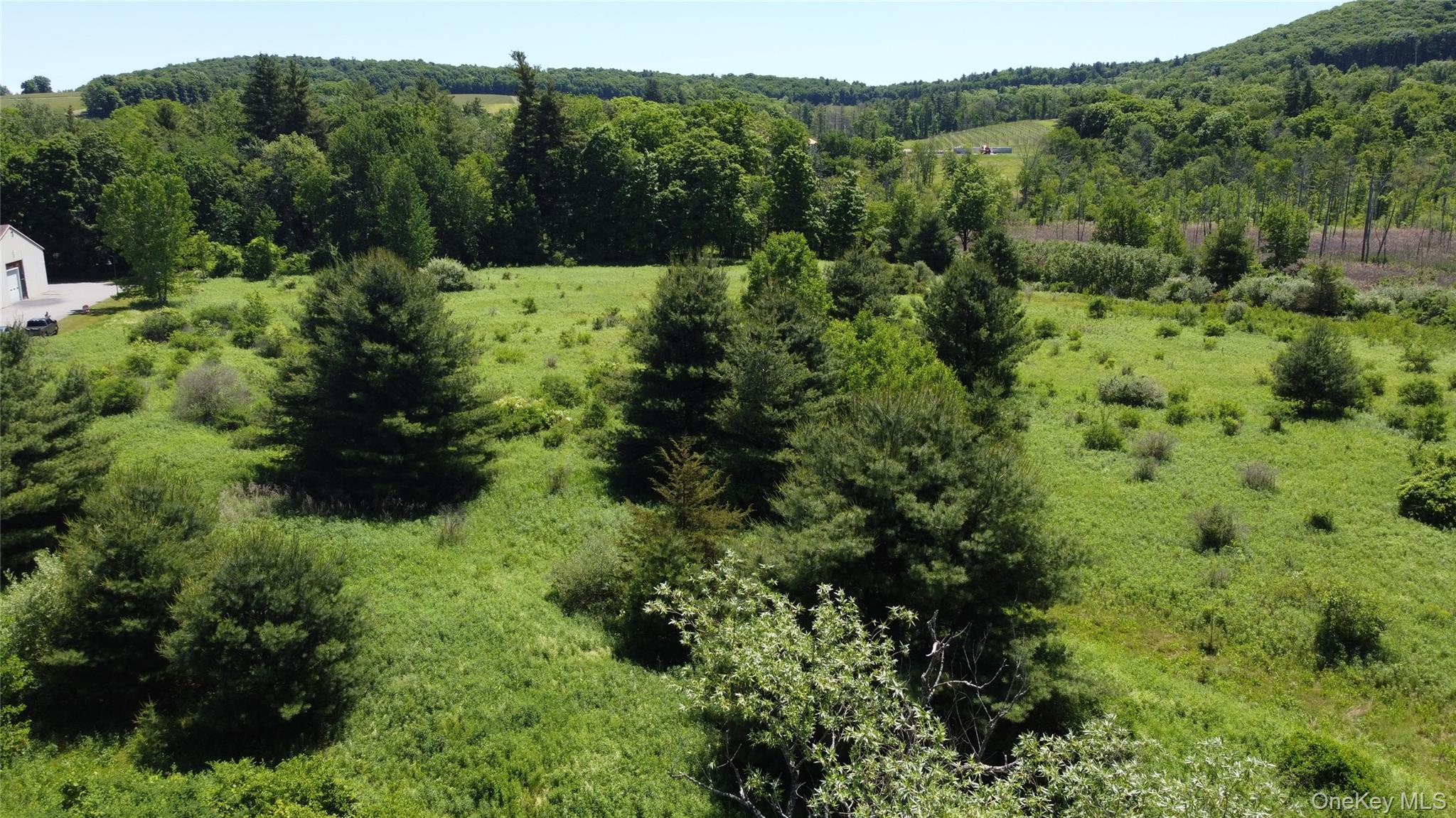 0 Route 44 – For Sale photo 7