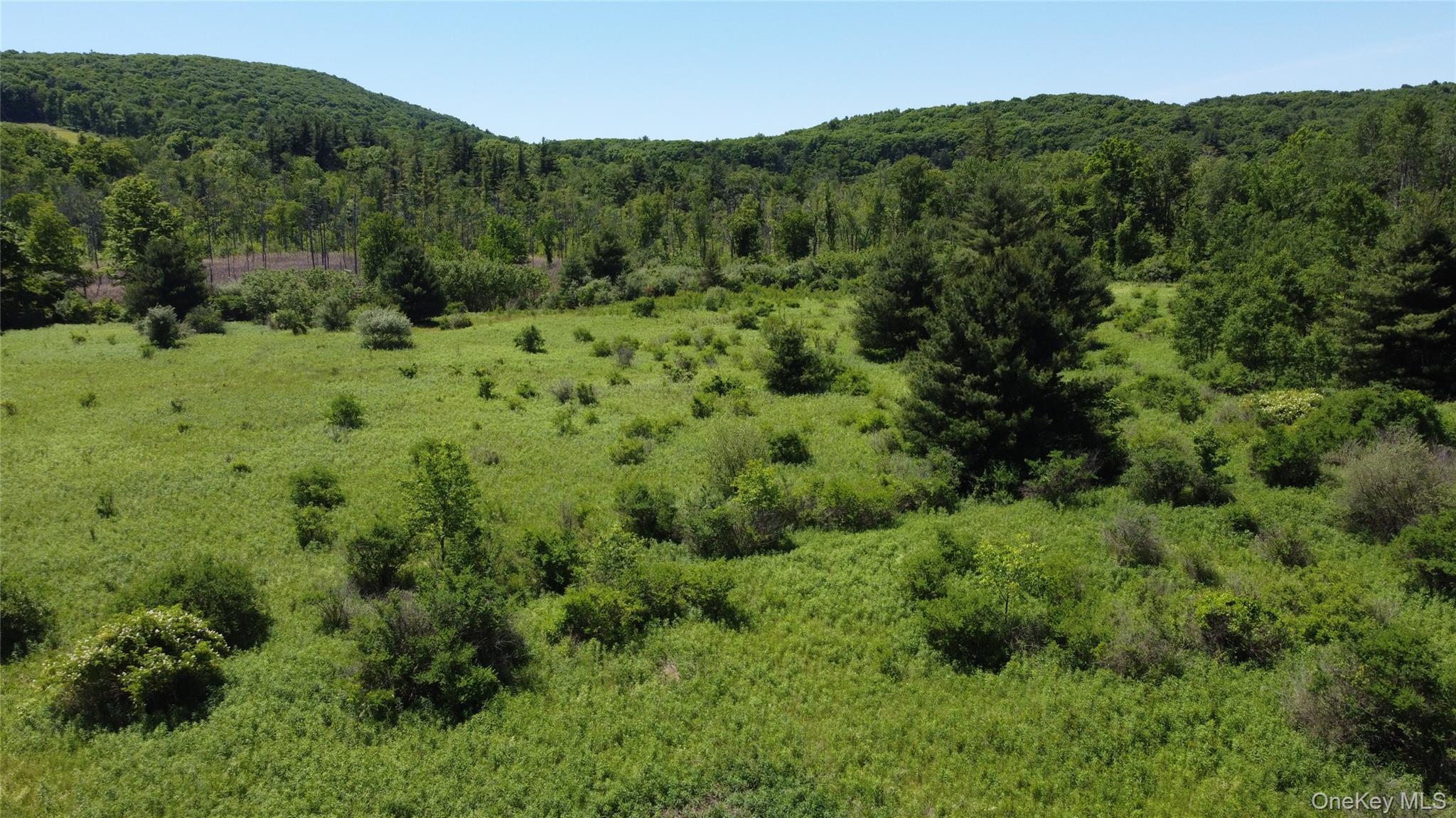 0 Route 44 – For Sale photo 2