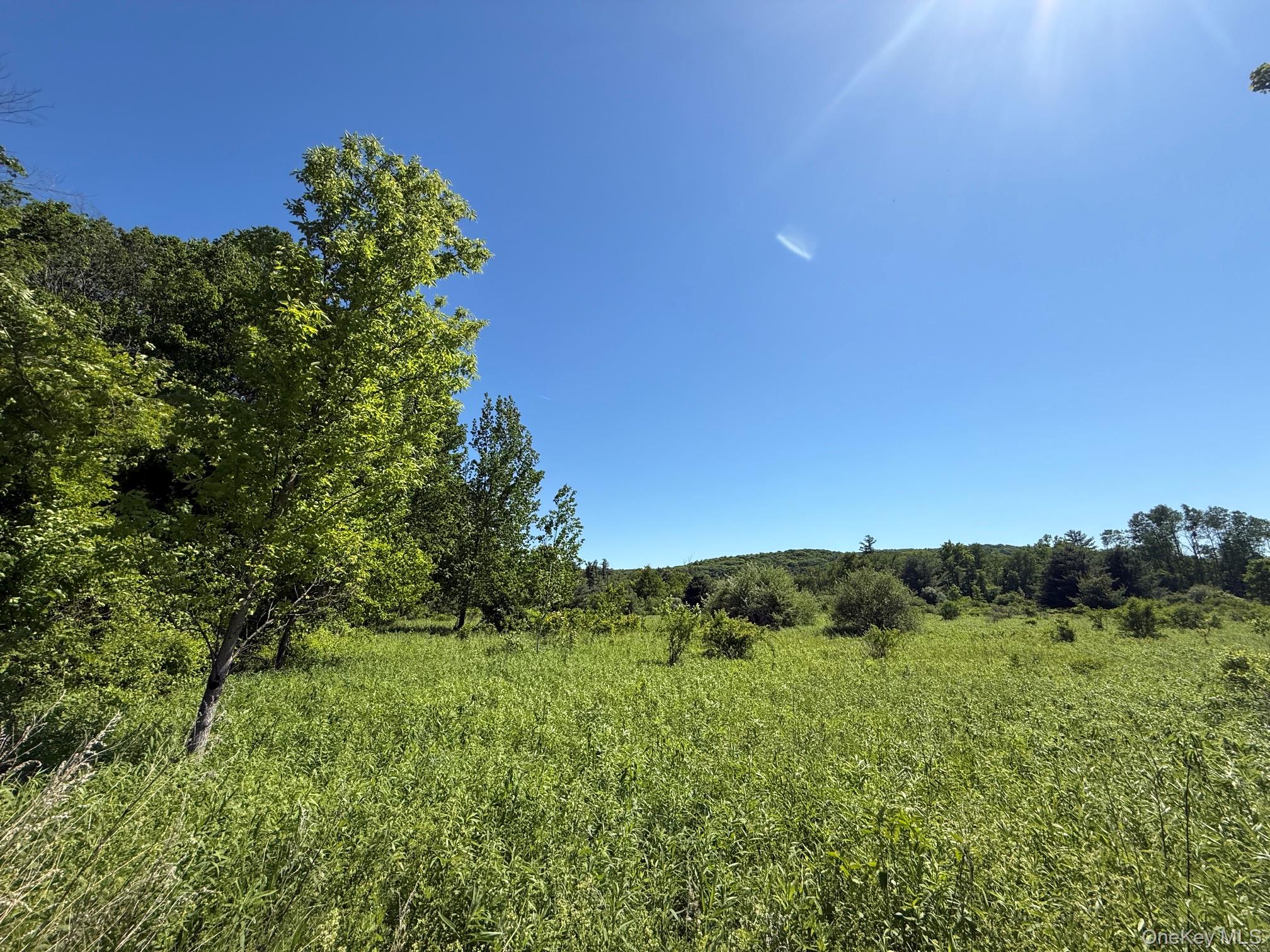 0 Route 44 – For Sale photo 9