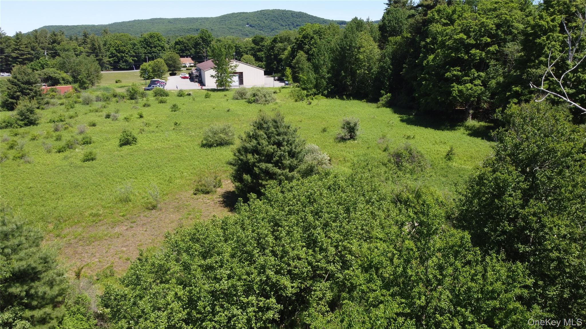 0 Route 44 – For Sale photo 11