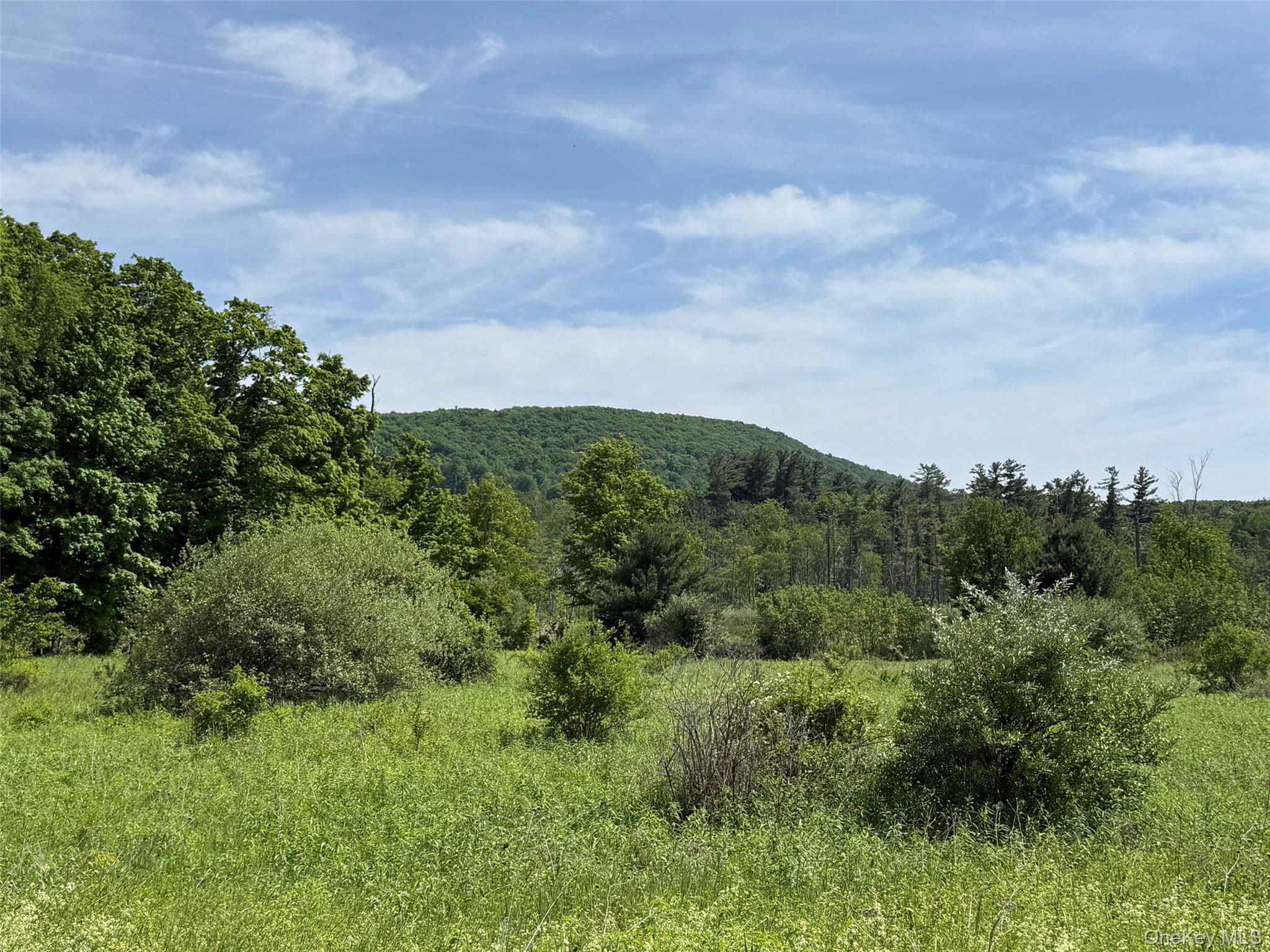 0 Route 44 – For Sale photo 5