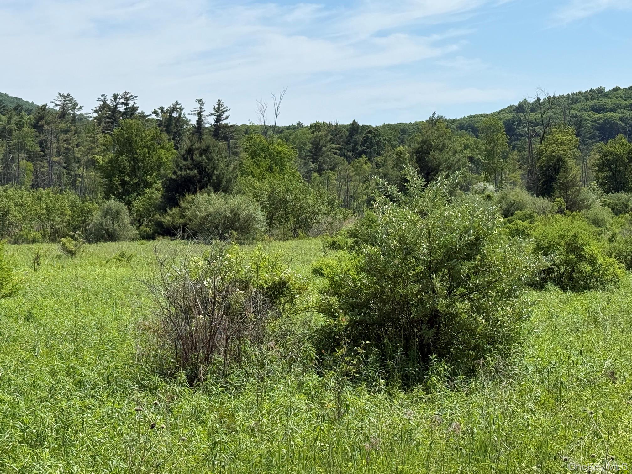 0 Route 44 – For Sale photo 12
