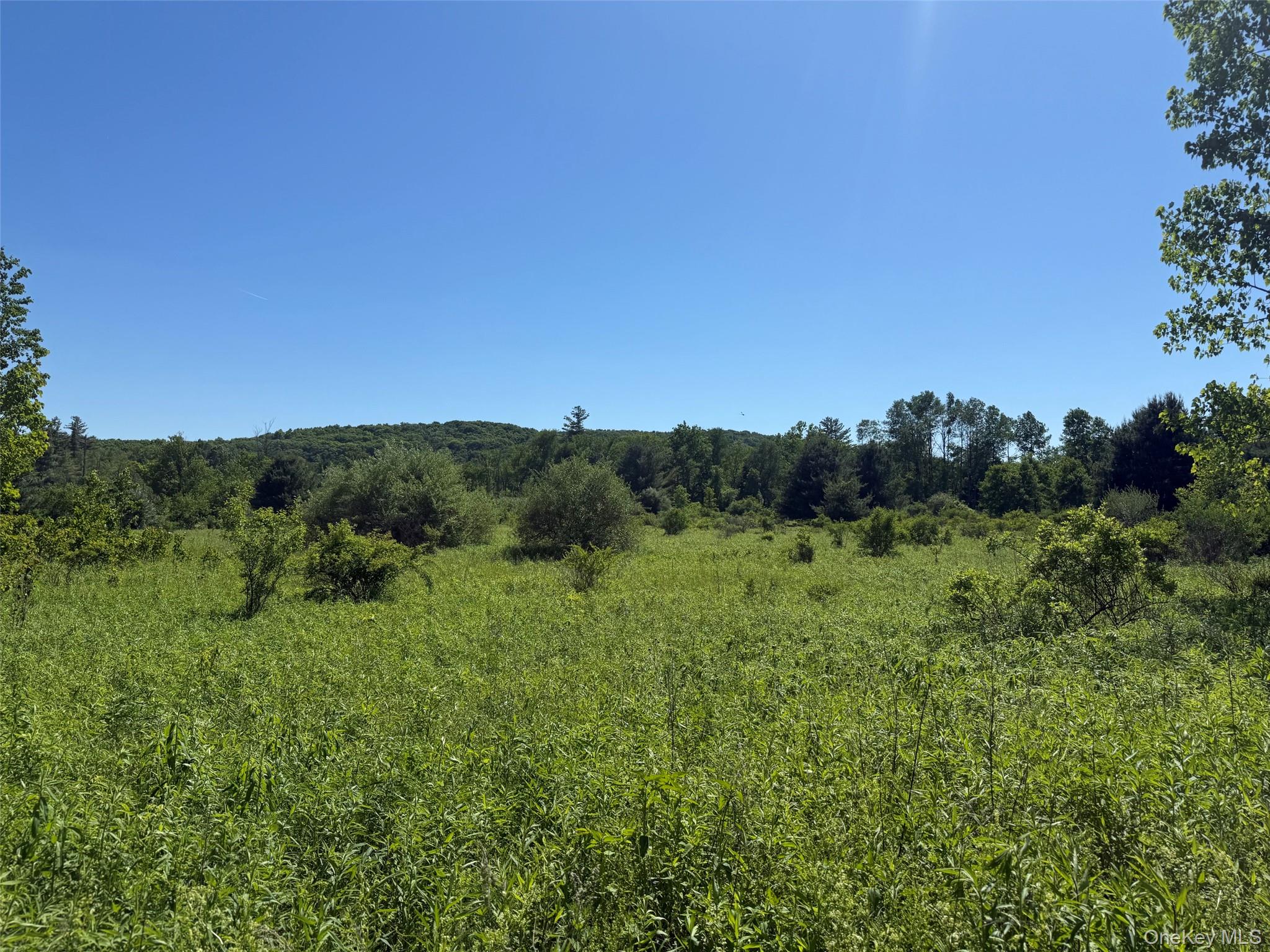 0 Route 44 – For Sale photo 6