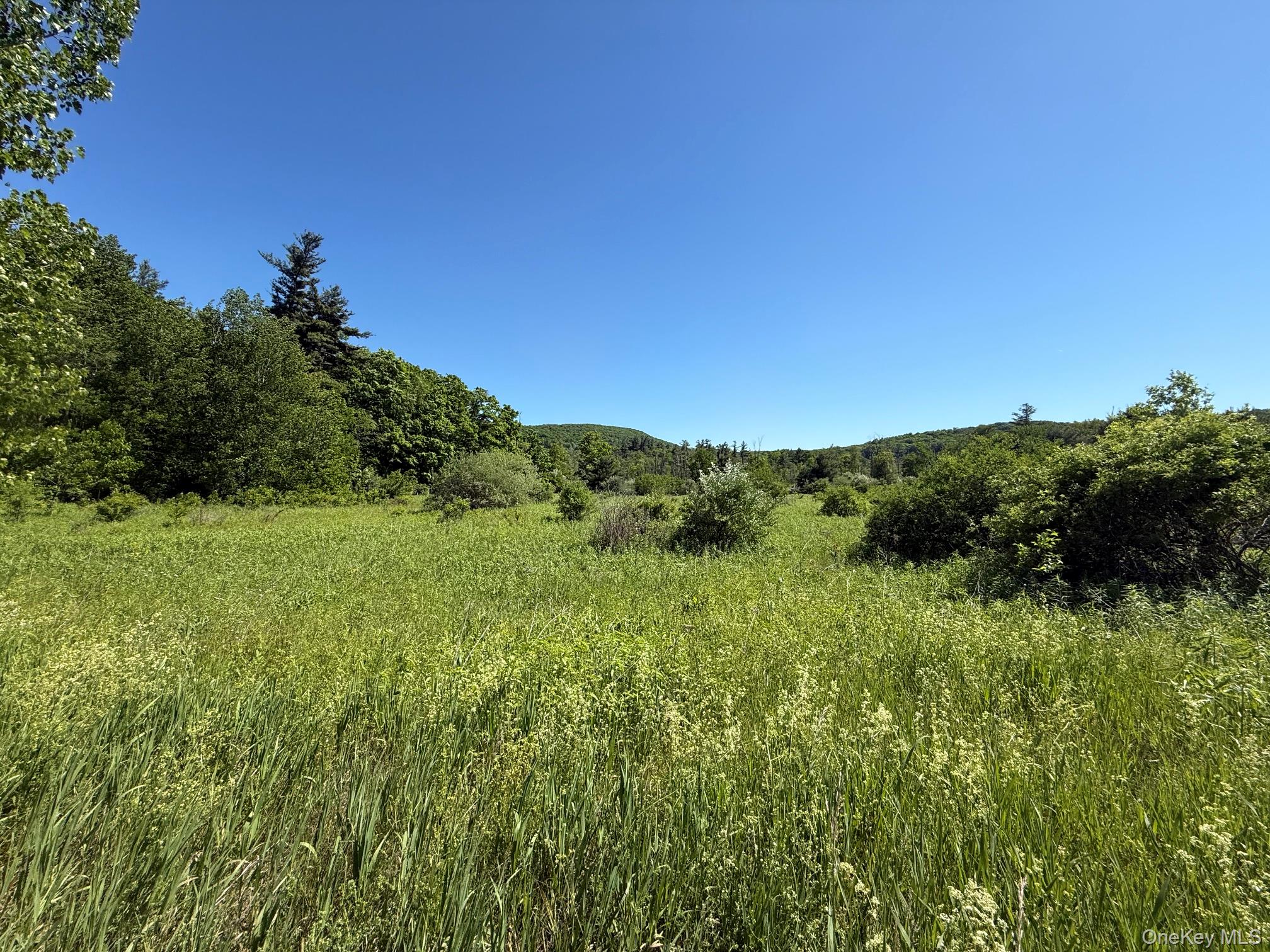 0 Route 44 – For Sale photo 10