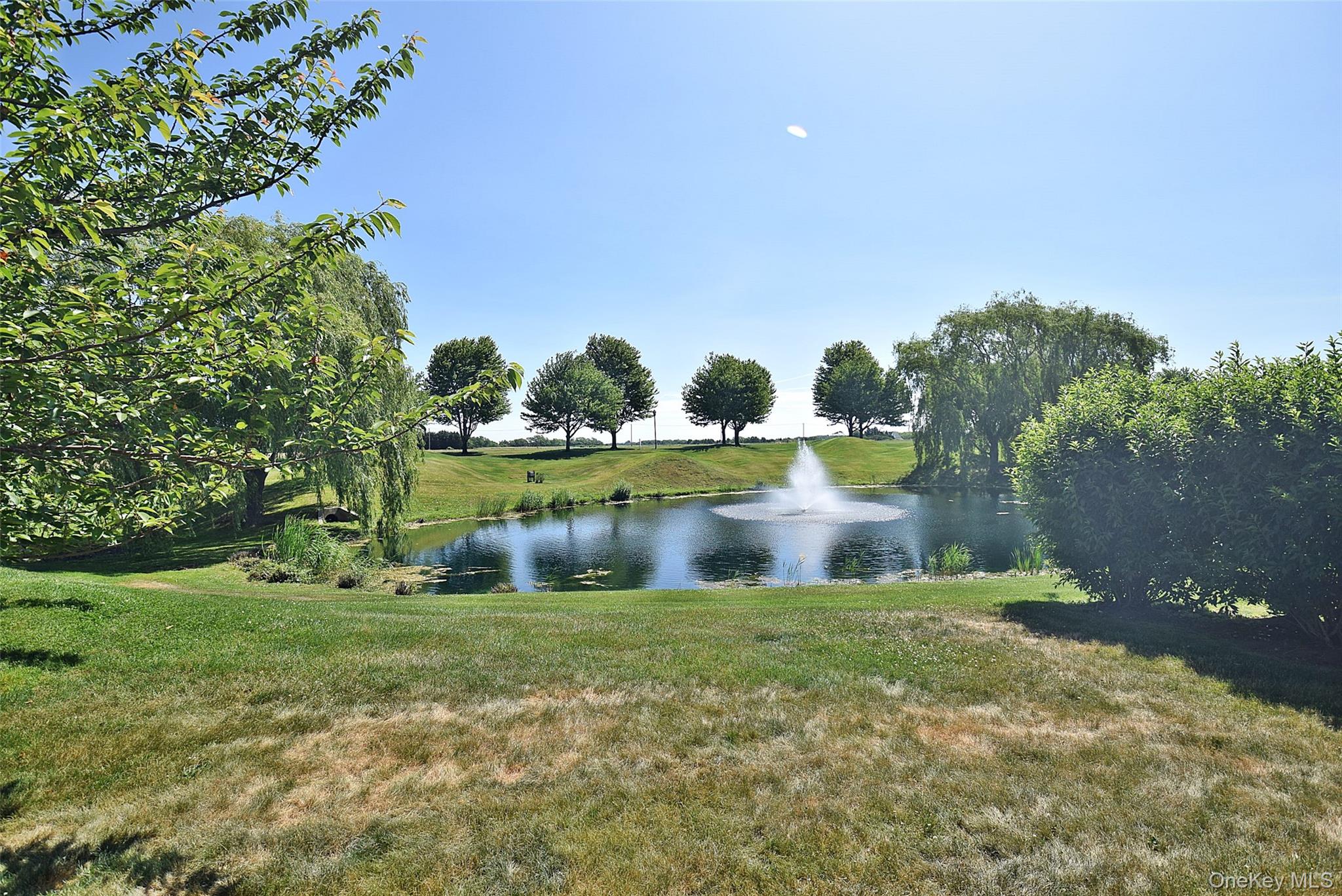 56 Foxglove Row – For Sale photo 34